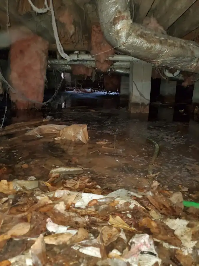 Crawl space flood assessment for Leak Detection & Repair in Kent