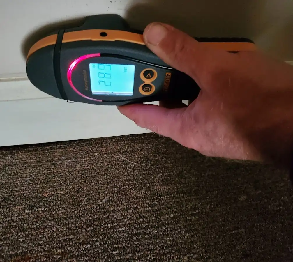 Moisture detection at baseboard during Mold Inspection & Testing in Kent